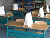 Glatte Klausur-Sichtblende einzeln